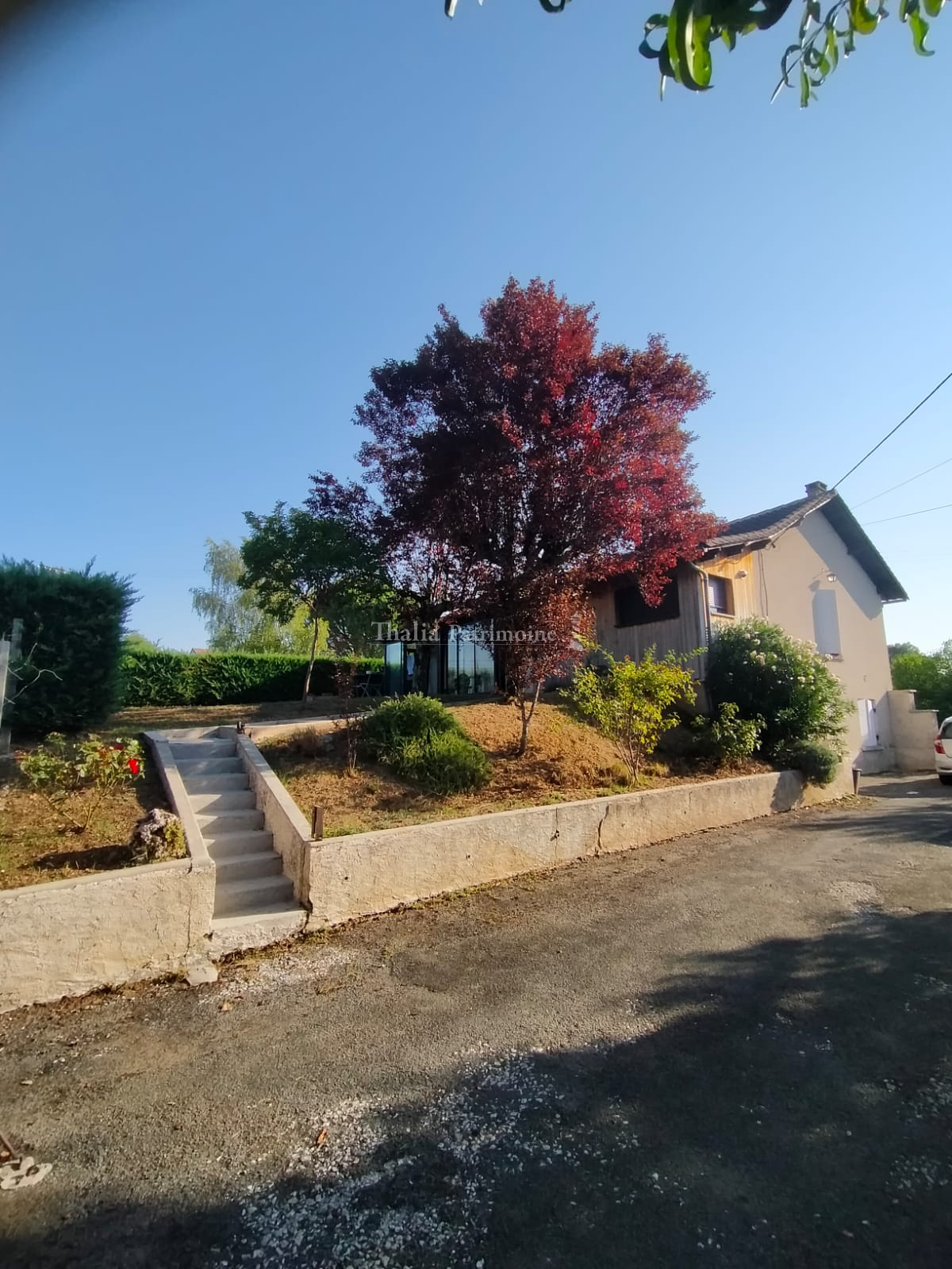 Agence immobilière de Thalia Patrimoine