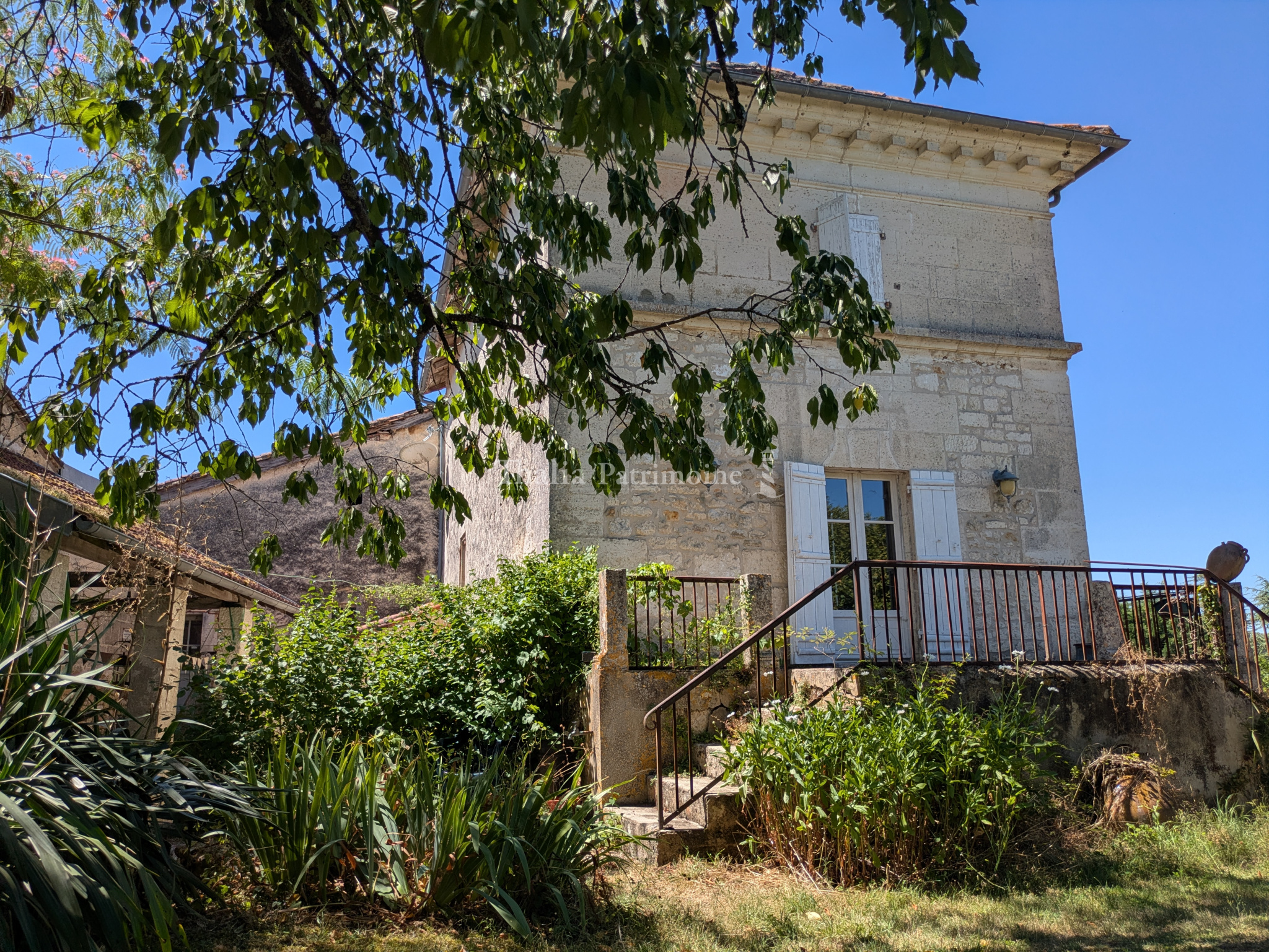 Agence immobilière de Thalia Patrimoine