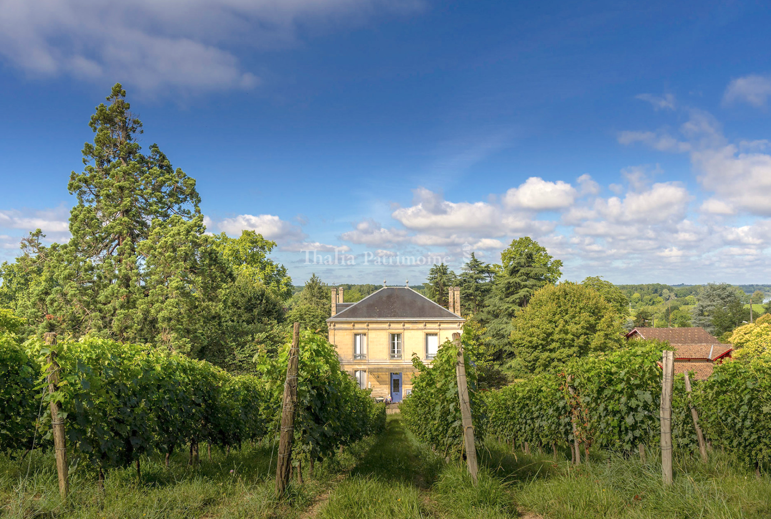 Agence immobilière de Thalia Patrimoine