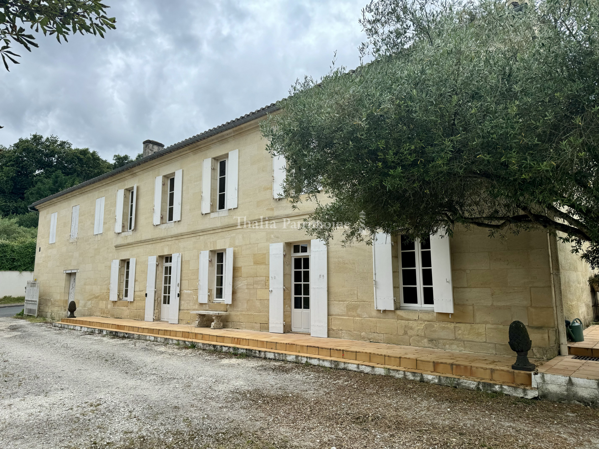 Agence immobilière de Thalia Patrimoine