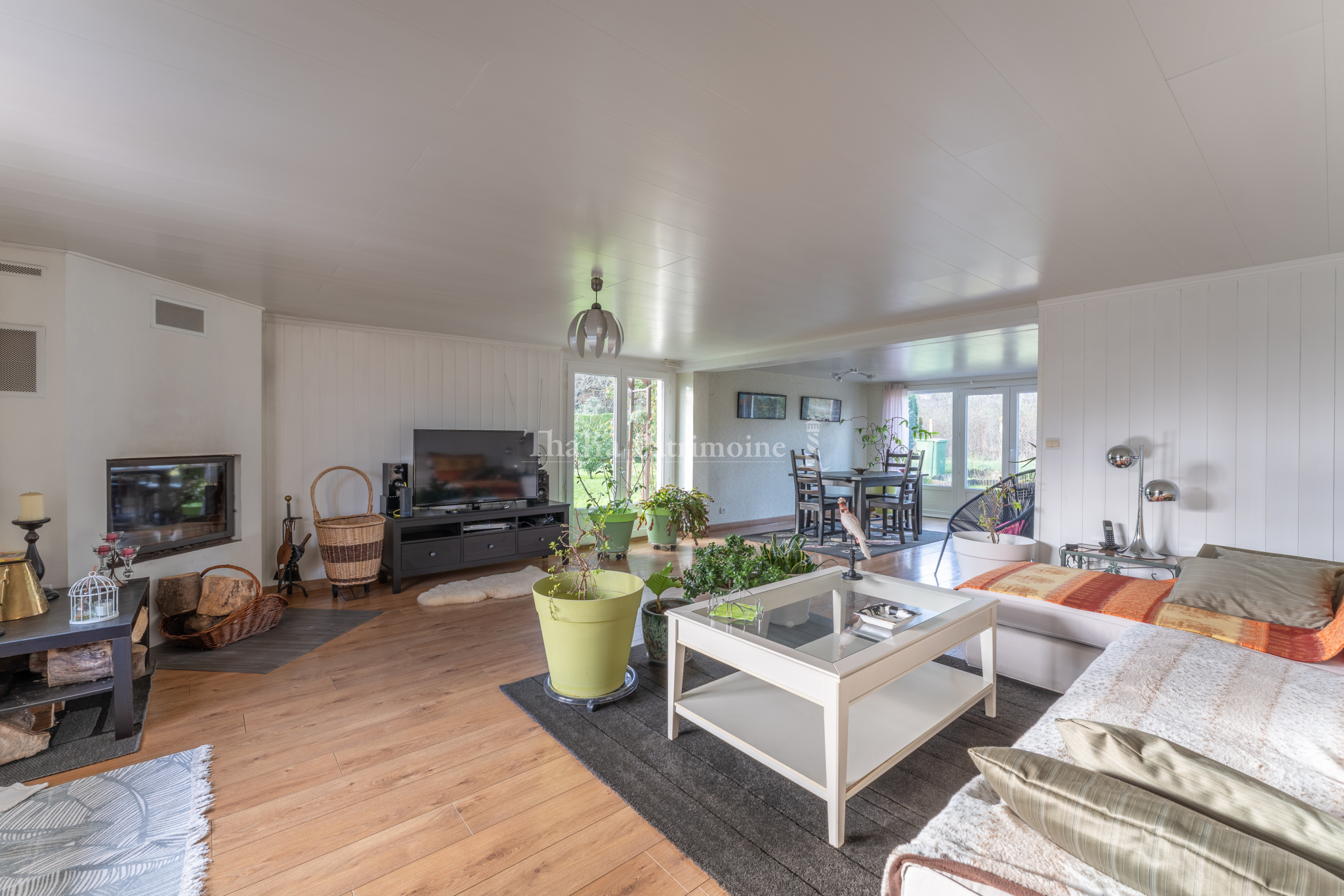 Agence immobilière de Thalia Patrimoine