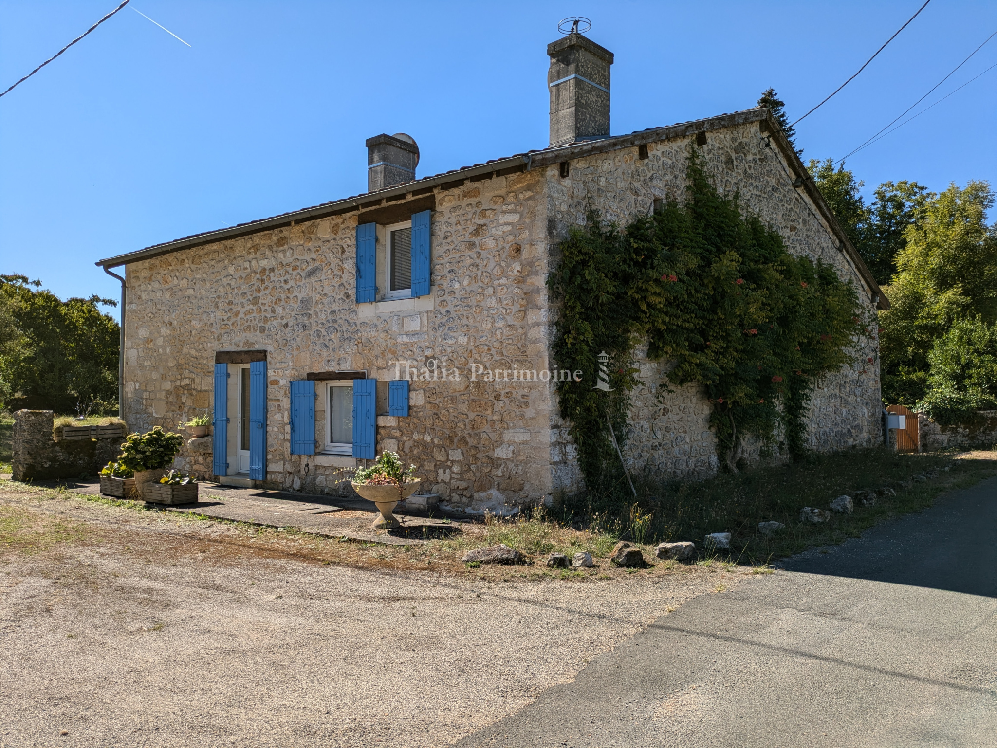 Agence immobilière de Thalia Patrimoine