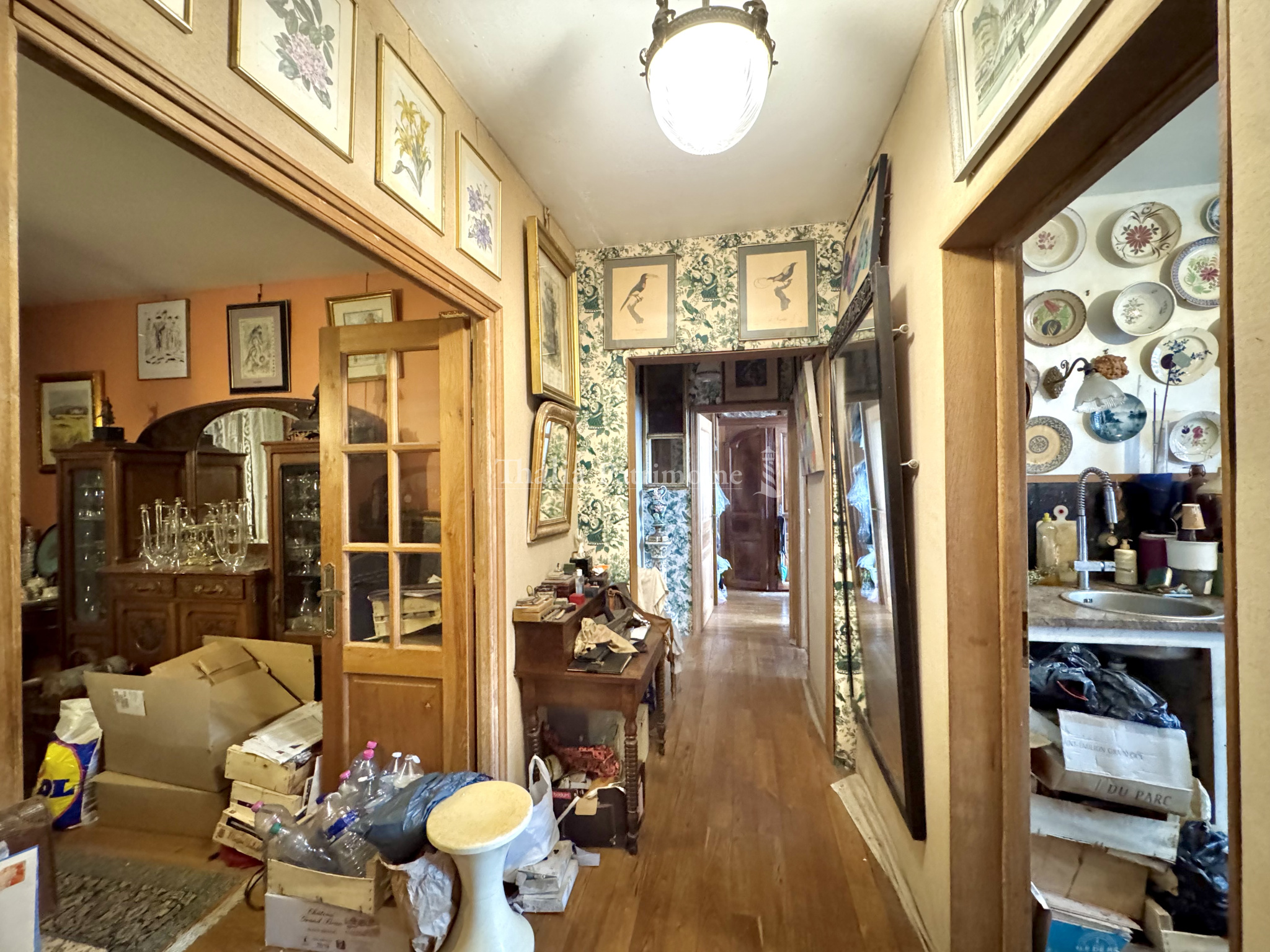 Agence immobilière de Thalia Patrimoine